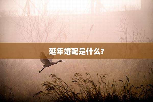 延年婚配是什么?