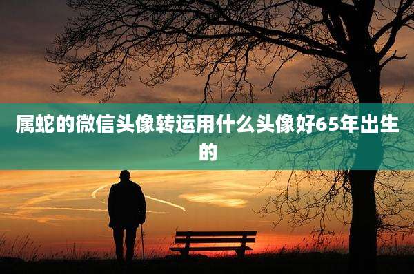 属蛇的微信头像转运用什么头像好65年出生的