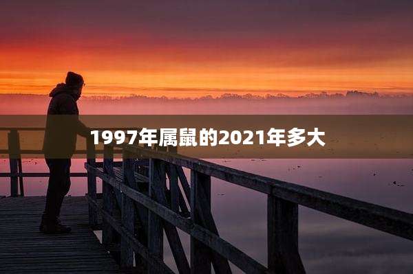 1997年属鼠的2021年多大
