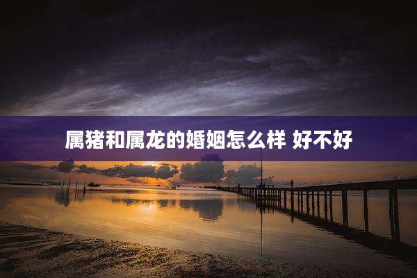 属猪和属龙的婚姻怎么样 好不好