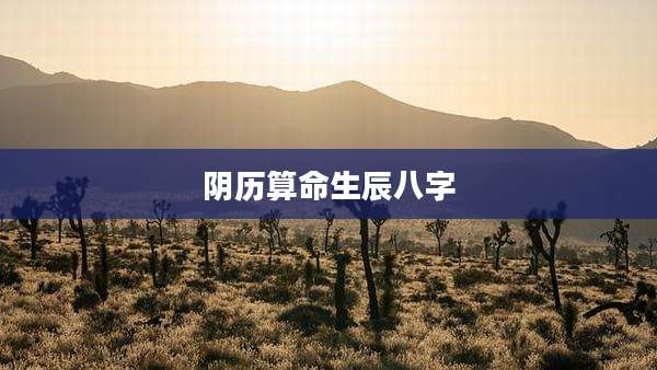 阴历算命生辰八字