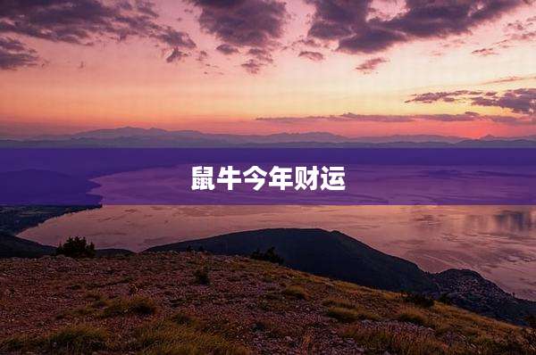 鼠牛今年财运