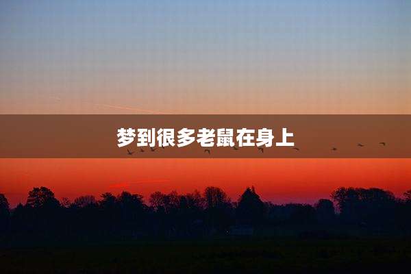 梦到很多老鼠在身上