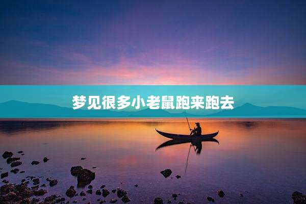 梦见很多小老鼠跑来跑去