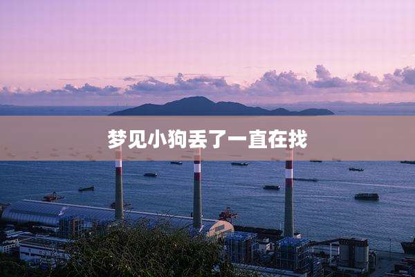 梦见小狗丢了一直在找