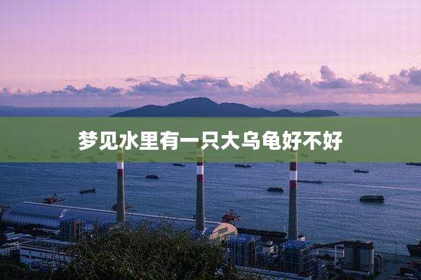 梦见水里有一只大乌龟好不好