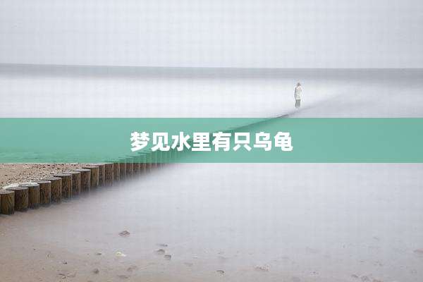 梦见水里有只乌龟