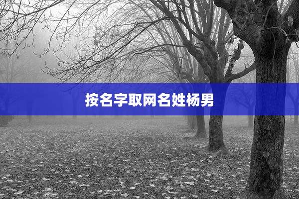 按名字取网名姓杨男