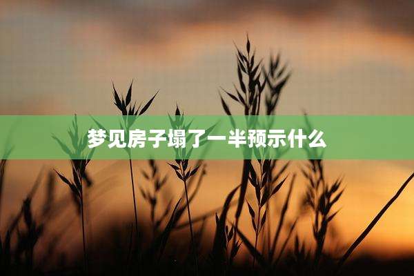 梦见房子塌了一半预示什么