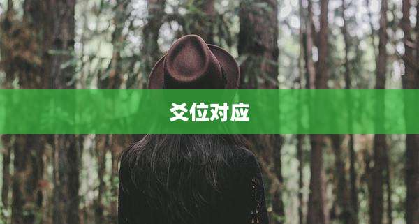 爻位对应