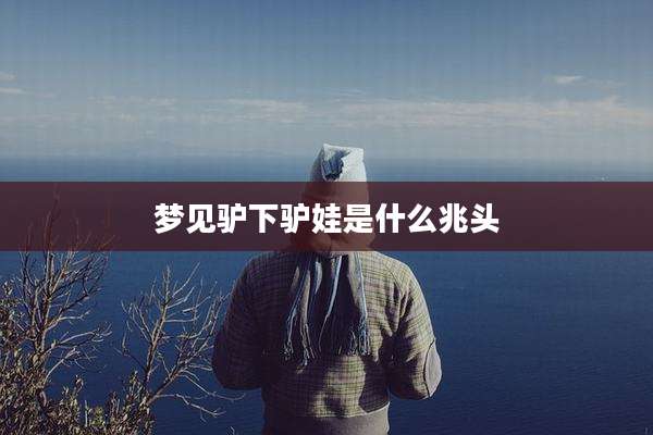 梦见驴下驴娃是什么兆头