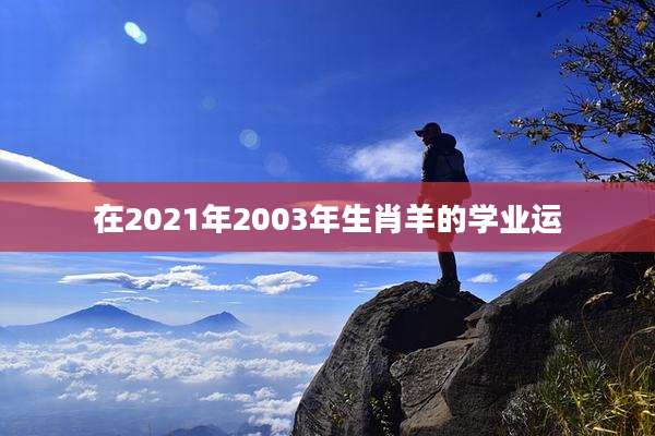 在2021年2003年生肖羊的学业运