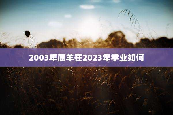 2003年属羊在2023年学业如何