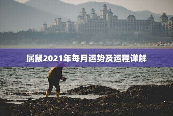 属鼠2021年每月运势及运程详解