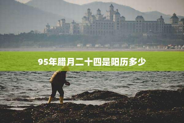 95年腊月二十四是阳历多少