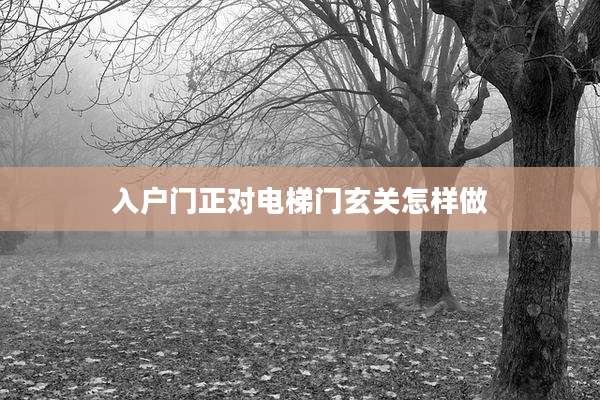入户门正对电梯门玄关怎样做