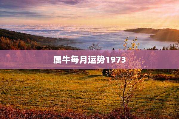 属牛每月运势1973