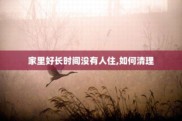 家里好长时间没有人住,如何清理