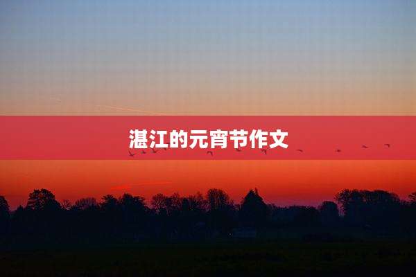 湛江的元宵节作文