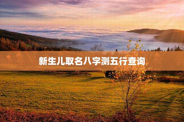 新生儿取名八字测五行查询