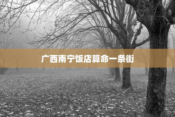 广西南宁饭店算命一条街