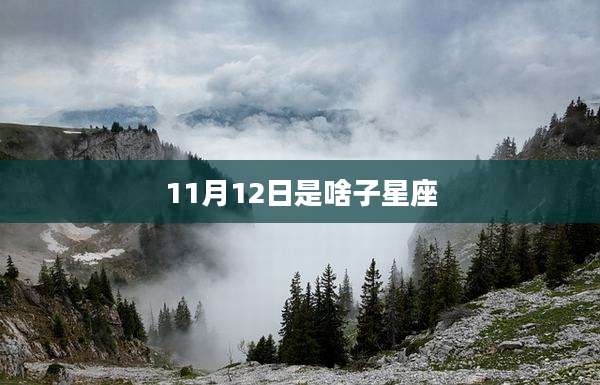 11月12日是啥子星座