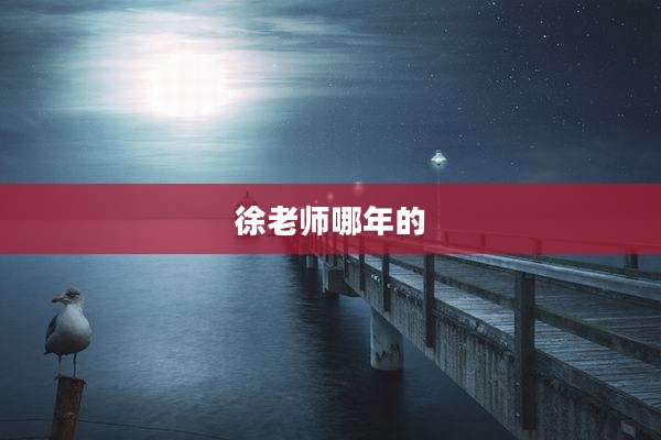 徐老师哪年的