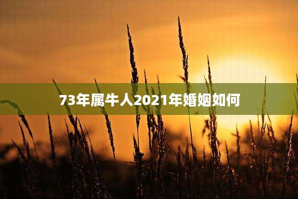 73年属牛人2021年婚姻如何
