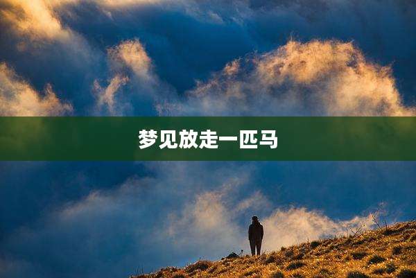 梦见放走一匹马