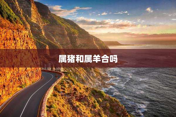 属猪和属羊合吗
