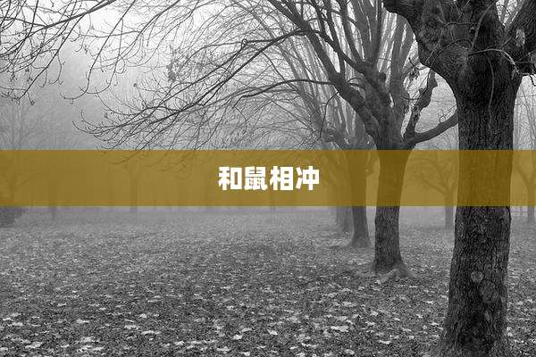 和鼠相冲