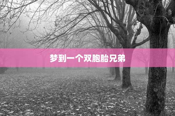 梦到一个双胞胎兄弟