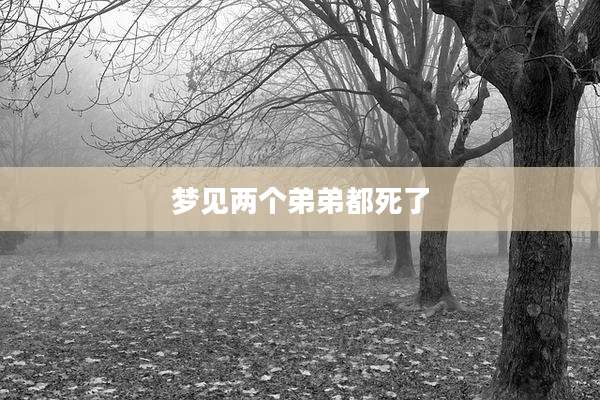 梦见两个弟弟都死了
