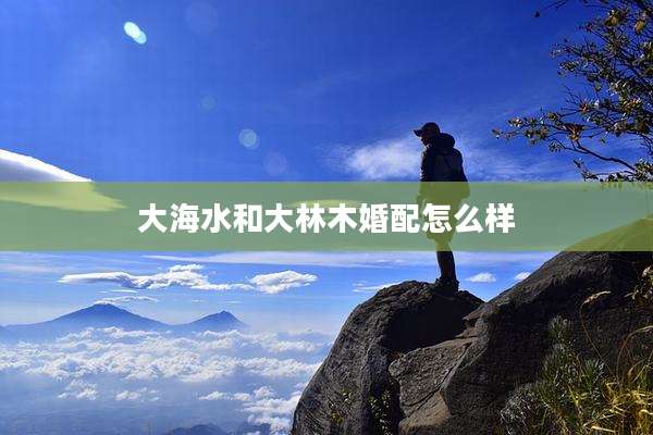大海水和大林木婚配怎么样