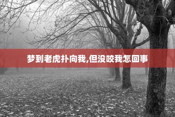 梦到老虎扑向我,但没咬我怎回事