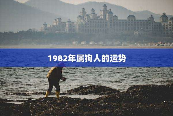 1982年属狗人的运势