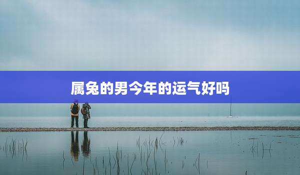 属兔的男今年的运气好吗