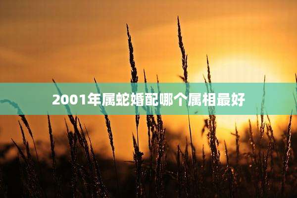 2001年属蛇婚配哪个属相最好