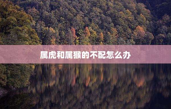 属虎和属猴的不配怎么办