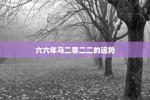 六六年马二零二二的运势