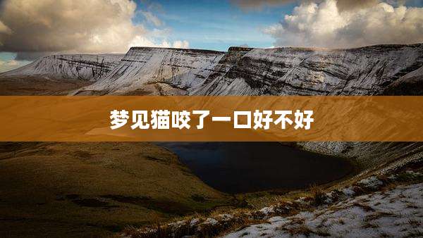 梦见猫咬了一口好不好