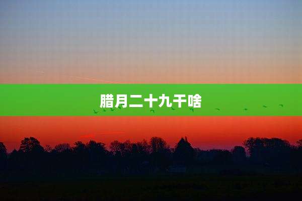 腊月二十九干啥