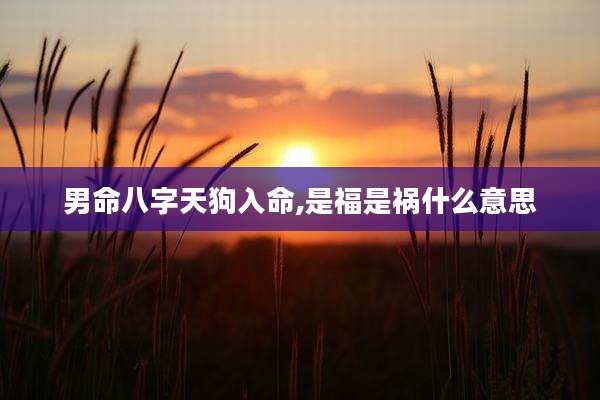 男命八字天狗入命,是福是祸什么意思