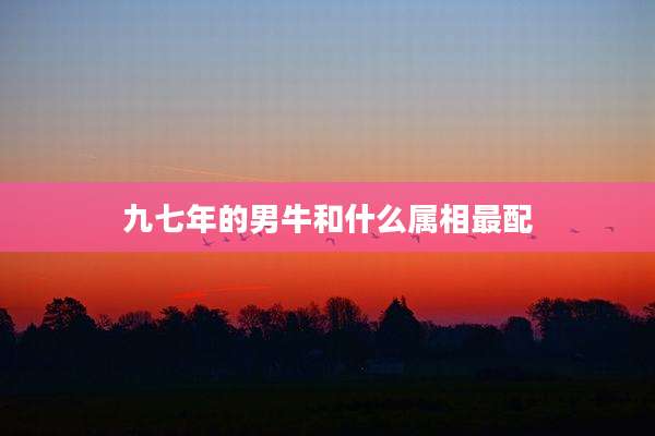 九七年的男牛和什么属相最配