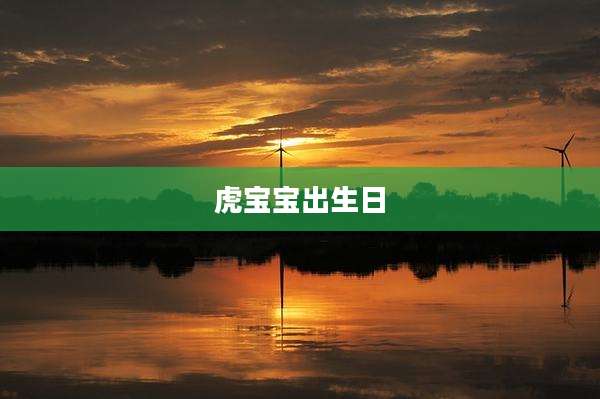 虎宝宝出生日