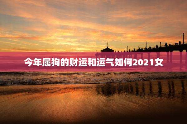 今年属狗的财运和运气如何2021女