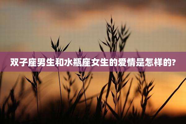 双子座男生和水瓶座女生的爱情是怎样的?