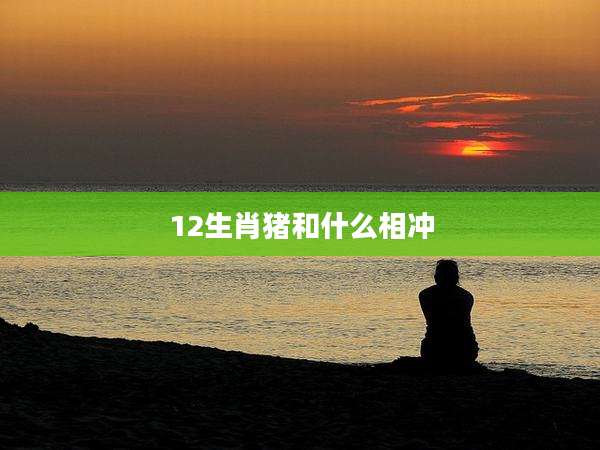 12生肖猪和什么相冲