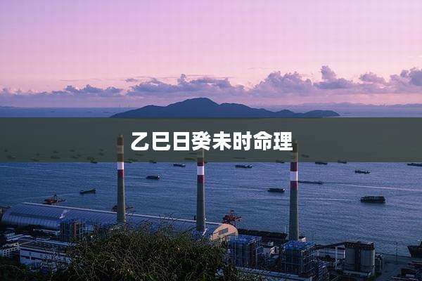 乙巳日癸未时命理