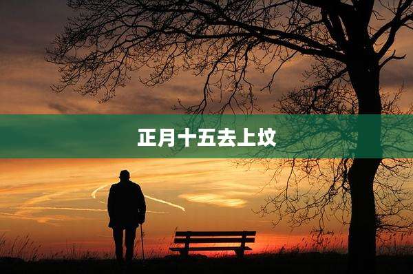 正月十五去上坟